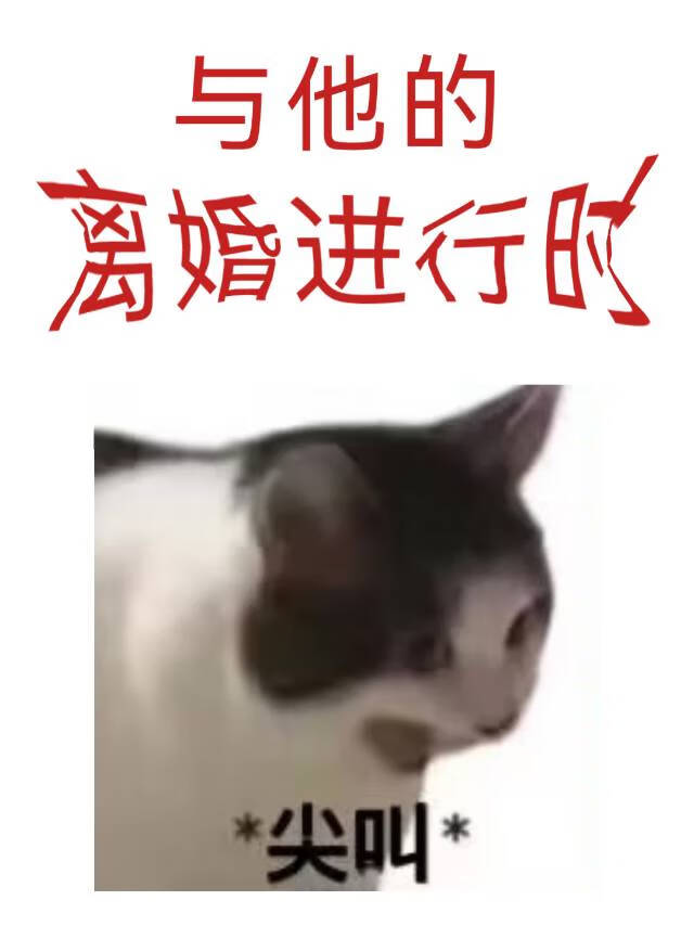 离婚进行时小说