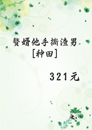 傻婿的小说
