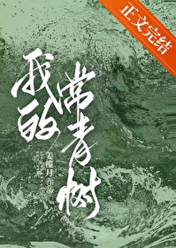 做我的常青树是什么意思
