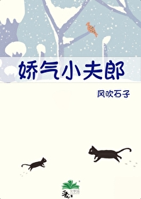 娇气包夫君