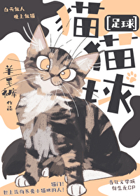 足球猫猫球小说笔趣阁