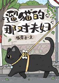 遛猫的那对夫妇免费阅读全文