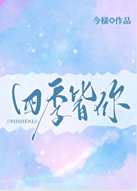 四季皆你歌词了什么意思