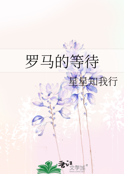 罗马11