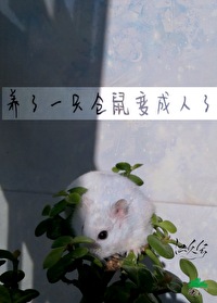 仓鼠变成野鼠