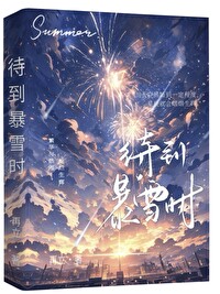 在暴雪的时分