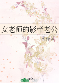 女老师的老公一般什么职业