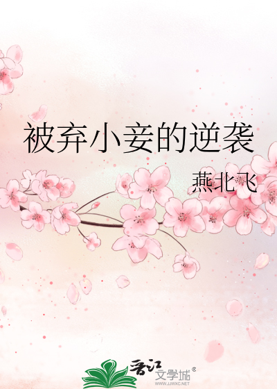 弃妾的小说