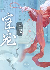 宦宠!!!