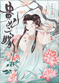 贵妃二嫁起跃免费完结