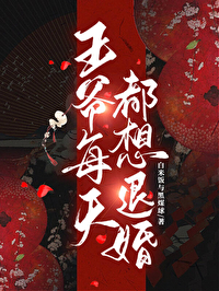 王爷每天都想退婚小说
