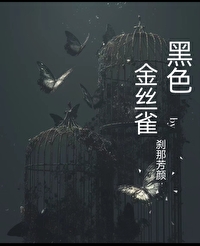黑色金丝雀小说刹那