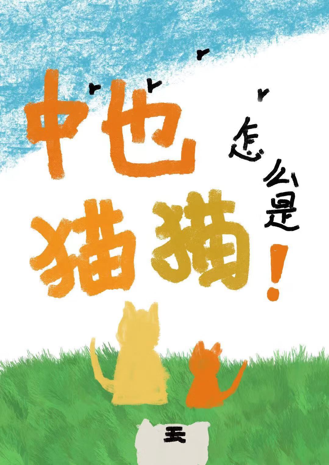 猫猫快递怎么寄