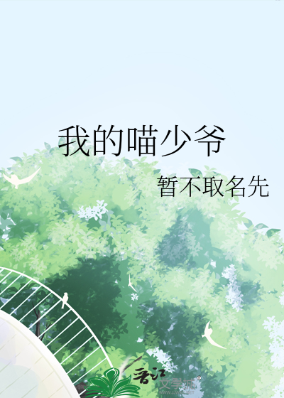 我的猫少年