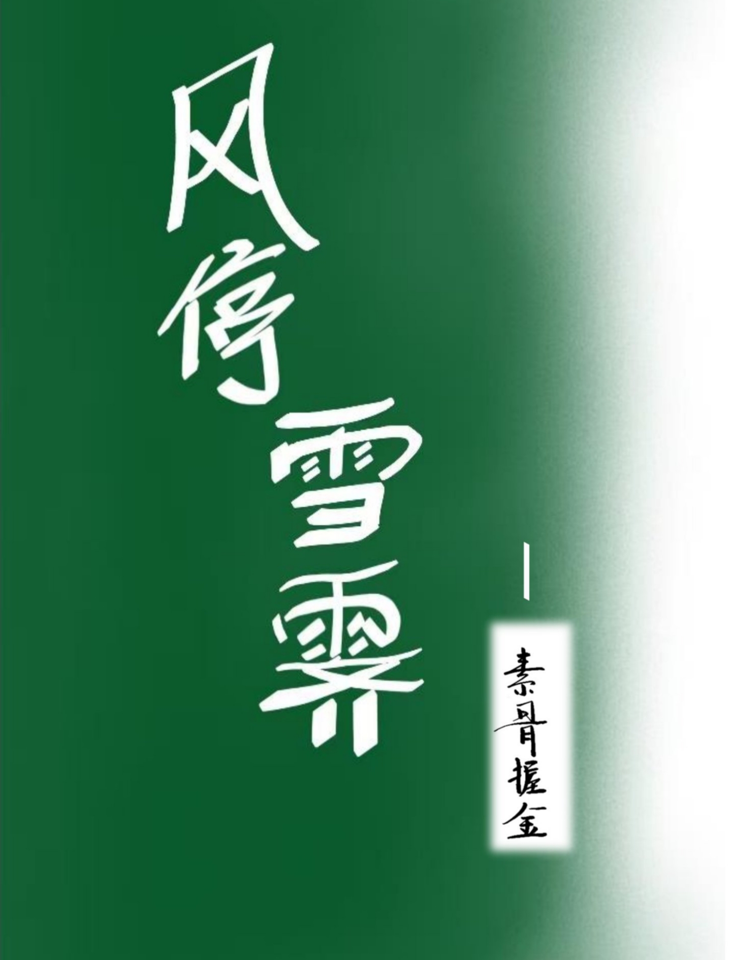 风雪霁月