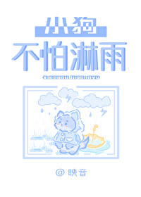 淋雨的小狗