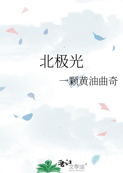 北极光工作室