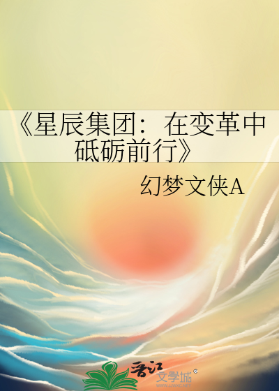 星辰集团公司