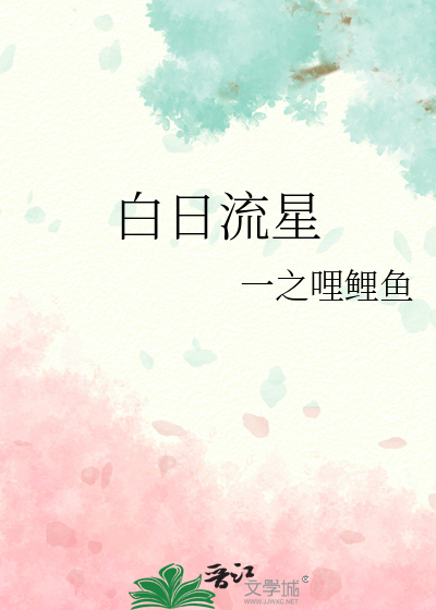 白日流星寓意