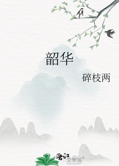 韶华的意思