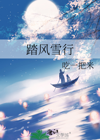 踏尽风雪什么意思